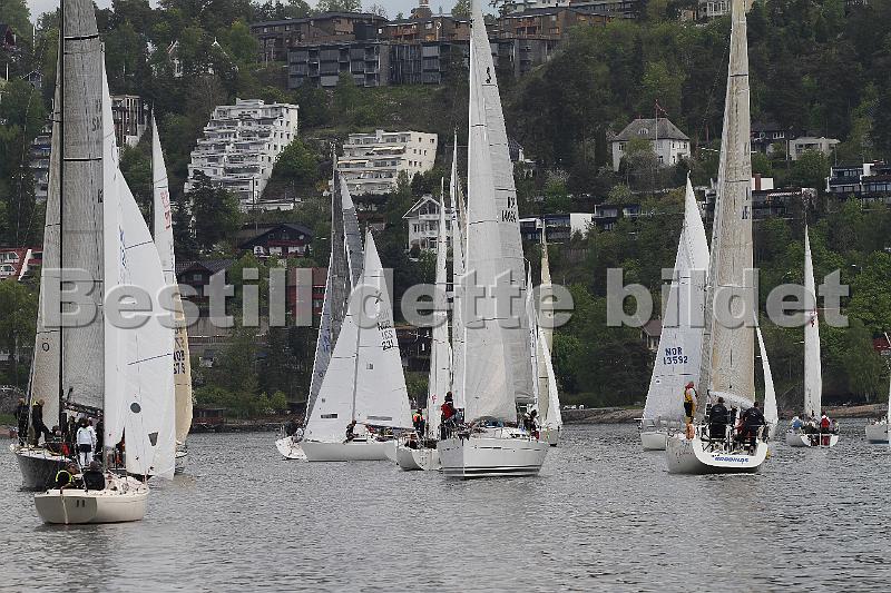 Bundefjorden2012 026.jpg